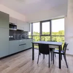 Rent 2 bedroom apartment of 50 m² in Verona