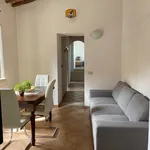 Rent 1 bedroom apartment in Siena