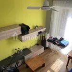 Rent 3 bedroom apartment of 60 m² in Turin