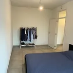 Rent 2 bedroom apartment in Gent