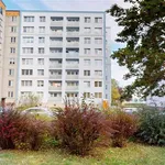 Rent 3 bedroom apartment of 62 m² in Ostrava