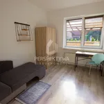 Rent 1 bedroom apartment of 142 m² in Zielona Góra