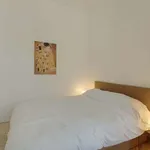 Rent 1 bedroom apartment in milan