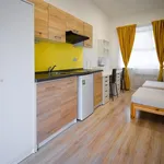 Rent 1 bedroom apartment in Brno