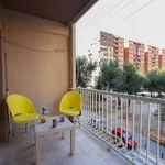 Rent a room in Valencia