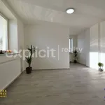 Rent 2 bedroom apartment of 36 m² in Zlín