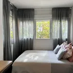 Rent a room in Madrid