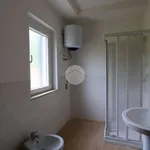 Affitto 2 camera casa di 45 m² in Fara in Sabina