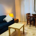 Rent 1 bedroom apartment in Milan