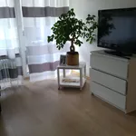 Rent 1 bedroom apartment of 46 m² in München