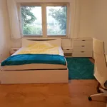 Miete 2 Schlafzimmer wohnung von 66 m² in Essen