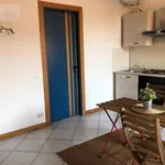 Rent 1 bedroom apartment of 40 m² in Lodi