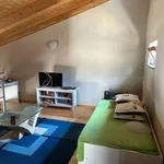 Rent 2 bedroom apartment of 70 m² in Turin