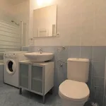 Rent 1 bedroom apartment in Praha 3