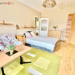 Rent 2 bedroom apartment of 45 m² in Klášterec nad Ohří