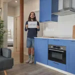 Rent 2 bedroom apartment in madrid