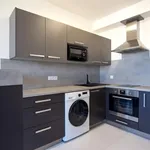 Rent 2 bedroom apartment of 44 m² in Pilsen