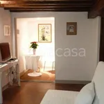 Rent 1 bedroom apartment of 38 m² in Firenze