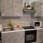 Rent 1 bedroom apartment of 30 m² in Torino