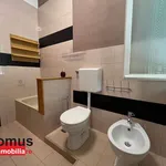 Rent 4 bedroom apartment of 100 m² in Ferrara