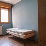 Rent a room of 120 m² in rome