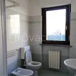 Rent 2 bedroom apartment of 40 m² in Piacenza