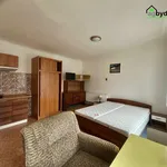 Rent 1 bedroom apartment in Plzeň-sever