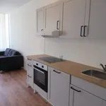 Rent 5 bedroom apartment of 108 m² in Amsterdam