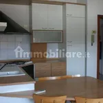 Rent 1 bedroom apartment of 35 m² in Cascina Premenugo