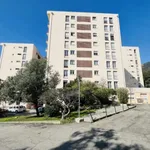 Rent 2 bedroom apartment of 41 m² in Ville Di Pietrabugno