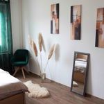 Miete 1 Schlafzimmer wohnung von 52 m² in Jena