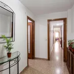 Rent 5 bedroom apartment in Valencia