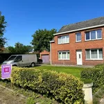 Rent 3 bedroom house in Geel