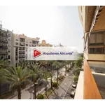 Alquilo 4 dormitorio apartamento de 145 m² en Alicante