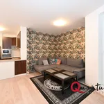 Rent 2 bedroom apartment of 56 m² in Prague