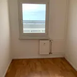 Rent 3 bedroom apartment of 69 m² in Leipzig