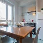 Rent 1 bedroom apartment of 45 m² in Turin