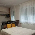 Rent 1 bedroom apartment of 35 m² in Szolnok