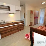 Rent 1 bedroom apartment in Brno