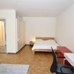 Miete 1 Schlafzimmer wohnung von 517 m² in Zurich