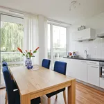 Rent 3 bedroom apartment of 87 m² in Zoetermeer