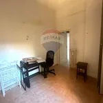 Rent 1 bedroom apartment of 40 m² in Roma