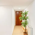 Rent a room in zaragoza