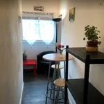 Rent 3 bedroom apartment in Lyon