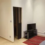 Rent 2 bedroom apartment of 30 m² in Marseille