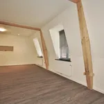 Huur 1 slaapkamer appartement van 120 m² in Hulst