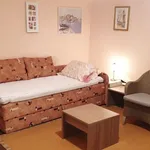 Rent 1 bedroom apartment in Grad Rijeka