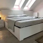 Rent a room of 280 m² in milan