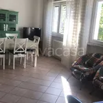 Rent 4 bedroom apartment of 85 m² in Massa