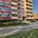 Rent 2 bedroom apartment of 58 m² in Ostrava